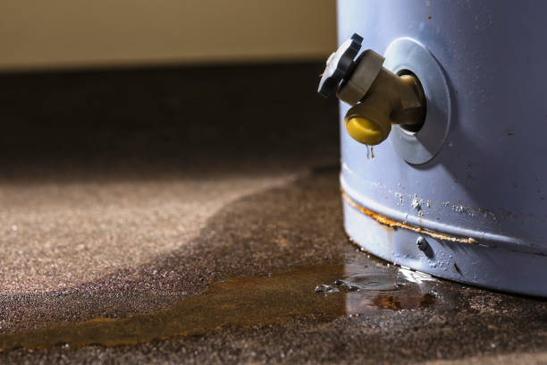 Trusted Water Damage Restoration in Wilkesboro, NC | Fast, Reliable, and Ready to Assist You